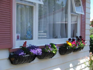 windowboxes.jpg
