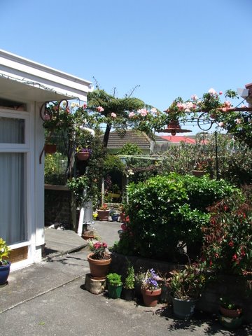 backgarden.jpg