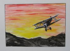 tigerrmoth2.jpg